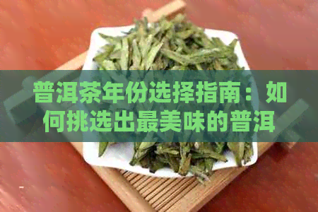 普洱茶年份选择指南：如何挑选出最美味的普洱茶？