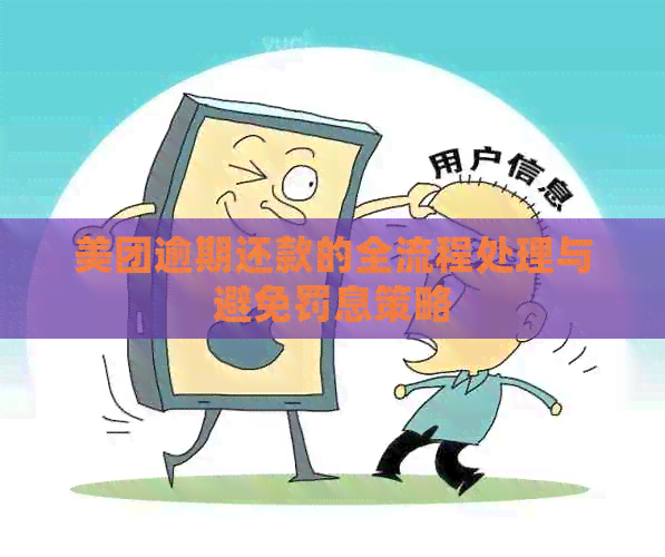 美团逾期还款的全流程处理与避免罚息策略