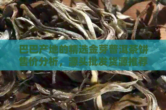 巴巴产地的精选金芽普洱茶饼售价分析，源头批发货源推荐