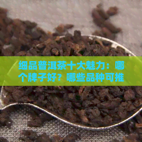 细品普洱茶十大魅力：哪个牌子好？哪些品种可推荐？