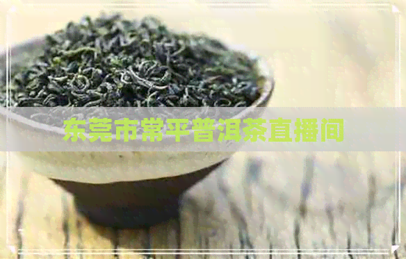 东莞市常平普洱茶直播间