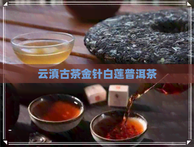 云滇古茶金针白莲普洱茶