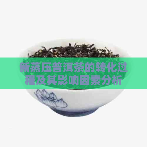 新蒸压普洱茶的转化过程及其影响因素分析