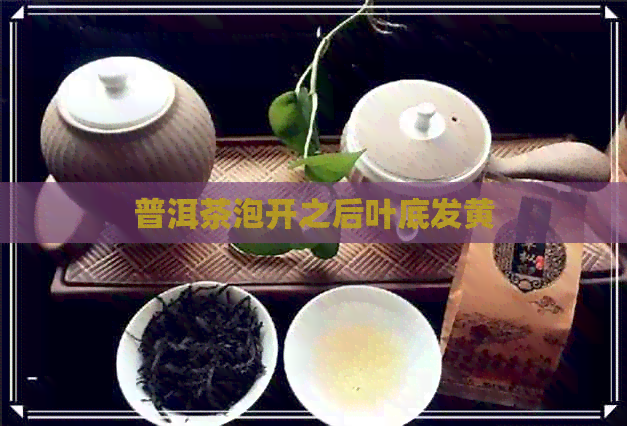 普洱茶泡开之后叶底发黄