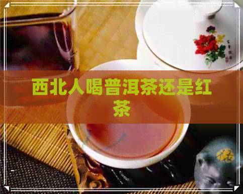 西北人喝普洱茶还是红茶