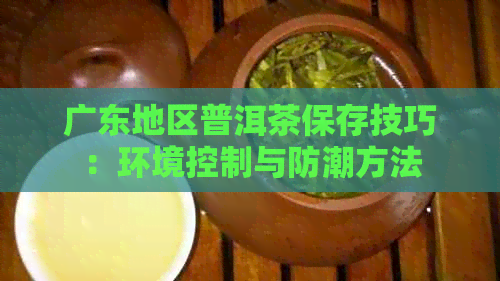 广东地区普洱茶保存技巧：环境控制与防潮方法