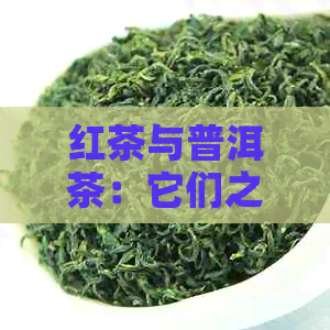 红茶与普洱茶：它们之间的差异与联系