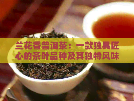 兰花香普洱茶：一款独具匠心的茶叶品种及其独特风味探索