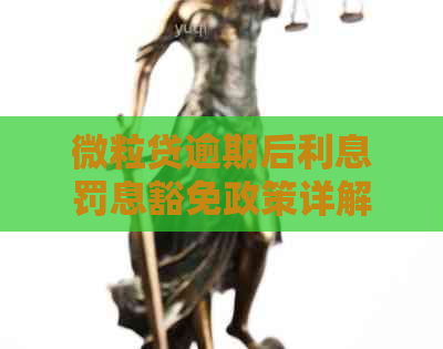 微粒贷逾期后利息罚息豁免政策详解：如何避免额外支出并解决逾期问题