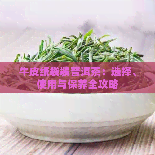 牛皮纸袋装普洱茶：选择、使用与保养全攻略