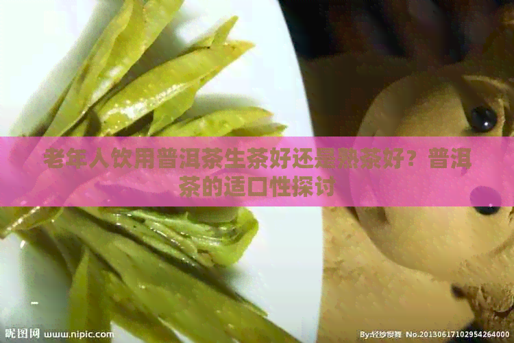 老年人饮用普洱茶生茶好还是熟茶好？普洱茶的适口性探讨