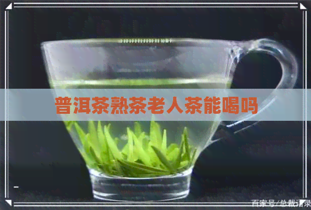 普洱茶熟茶老人茶能喝吗