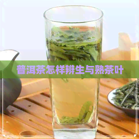 普洱茶怎样辨生与熟茶叶