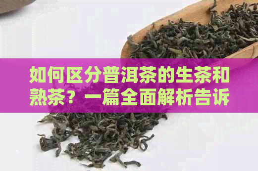 如何区分普洱茶的生茶和熟茶？一篇全面解析告诉你答案。