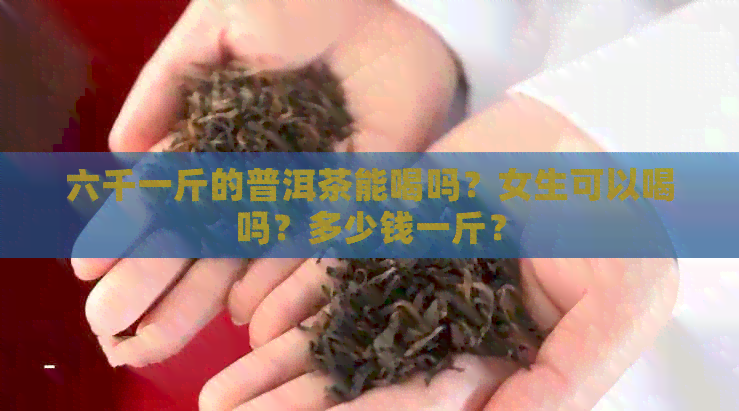 六千一斤的普洱茶能喝吗？女生可以喝吗？多少钱一斤？