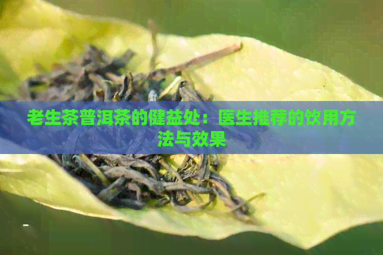 老生茶普洱茶的健益处：医生推荐的饮用方法与效果