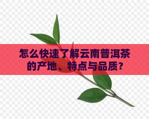 怎么快速了解云南普洱茶的产地、特点与品质？