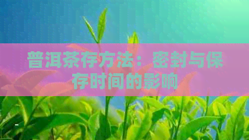 普洱茶存方法：密封与保存时间的影响