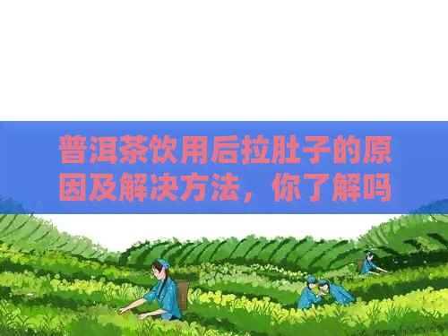 普洱茶饮用后拉肚子的原因及解决方法，你了解吗？