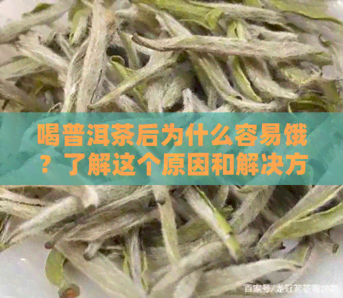 喝普洱茶后为什么容易饿？了解这个原因和解决方法，让你不再担心饥饿感！