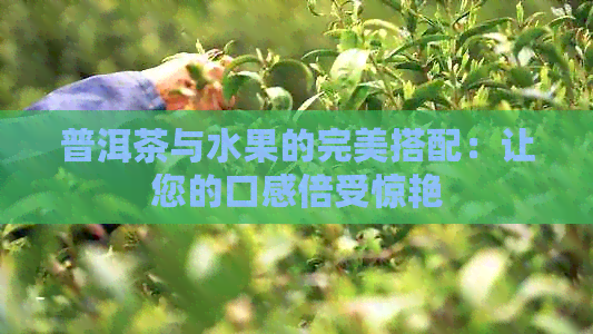 普洱茶与水果的完美搭配：让您的口感倍受惊艳