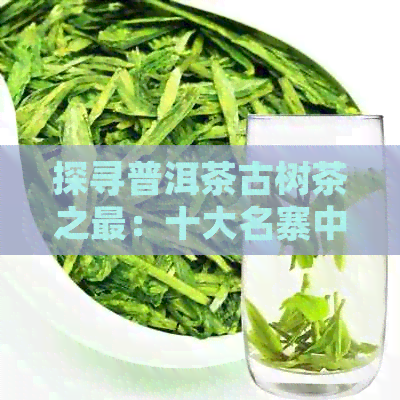 探寻普洱茶古树茶之最：十大名寨中的顶级口感体验