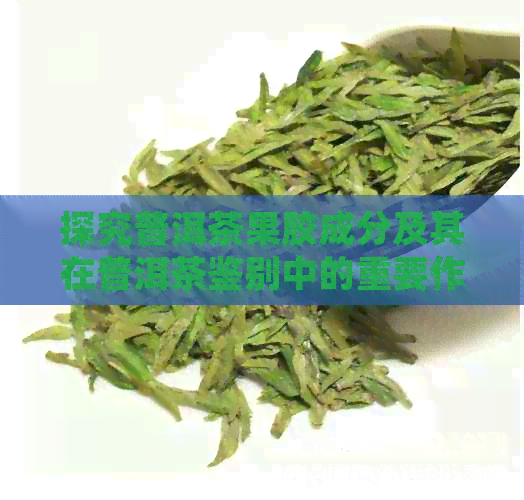 探究普洱茶果胶成分及其在普洱茶鉴别中的重要作用