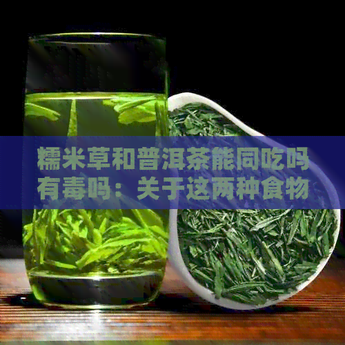 糯米草和普洱茶能同吃吗有吗：关于这两种食物同时食用的安全性。