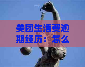 美团生活费逾期经历：怎么办？有影响吗？怎么查？怎么样？多久立案？