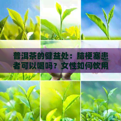 普洱茶的健益处：脑梗塞患者可以喝吗？女性如何饮用以促进健？