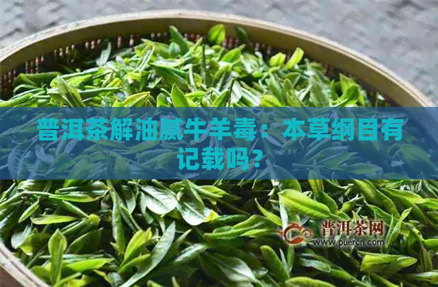 普洱茶解油腻牛羊：本草纲目有记载吗？