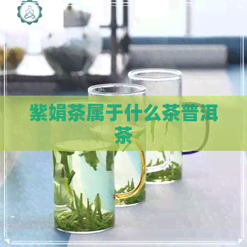 紫娟茶属于什么茶普洱茶