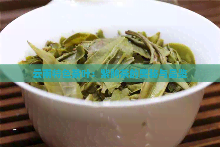 云南特色茶叶：紫鹃茶的奥秘与品鉴