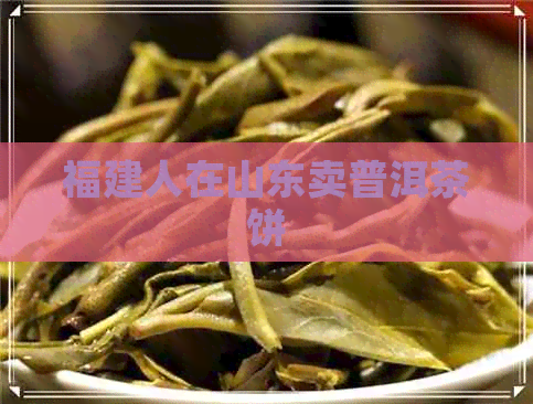 福建人在山东卖普洱茶饼