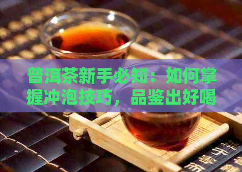 普洱茶新手必知：如何掌握冲泡技巧，品鉴出好喝的普洱茶