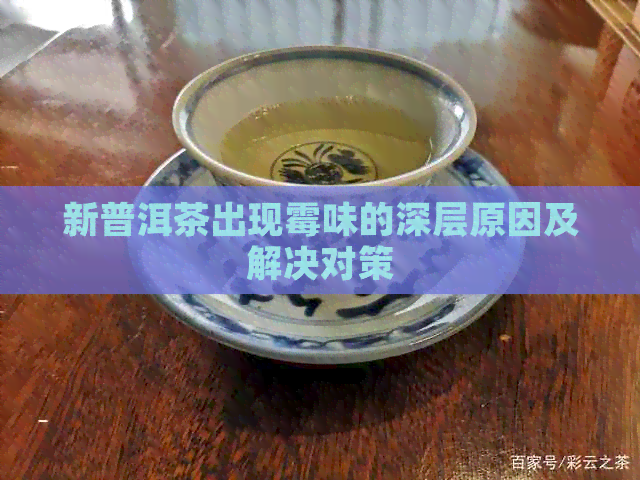 新普洱茶出现霉味的深层原因及解决对策