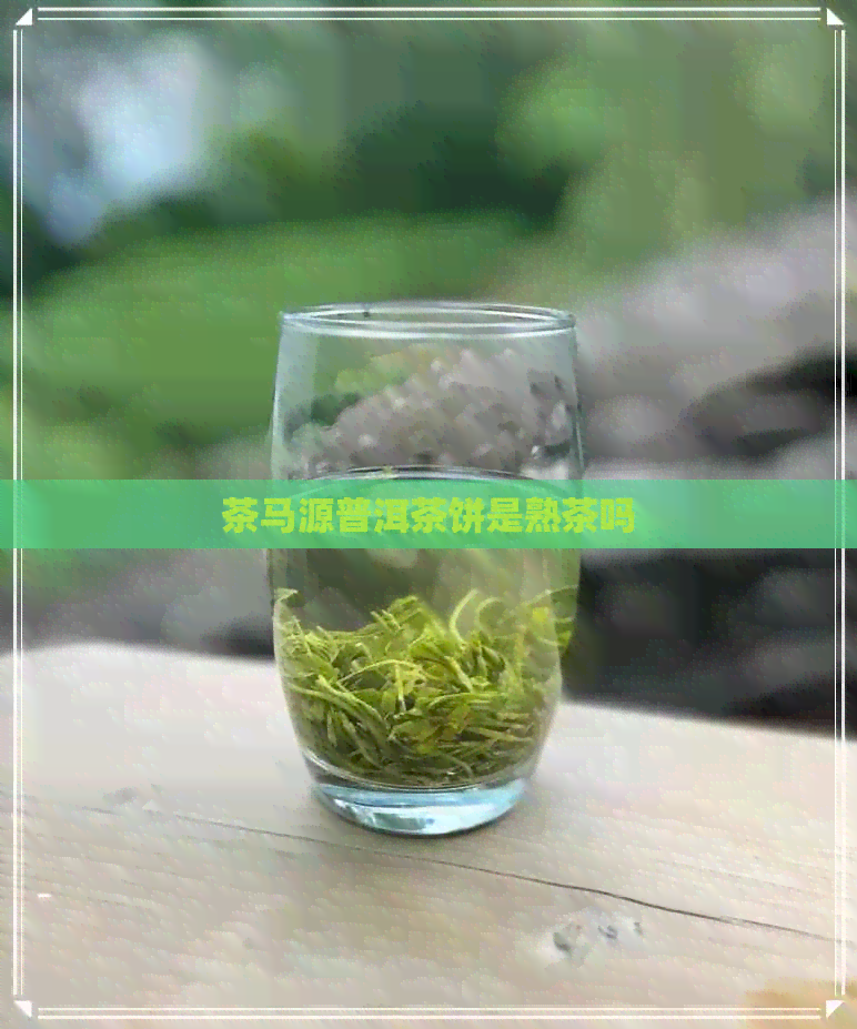 茶马源普洱茶饼是熟茶吗