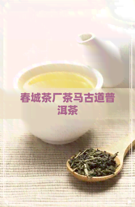 春城茶厂茶马古道普洱茶