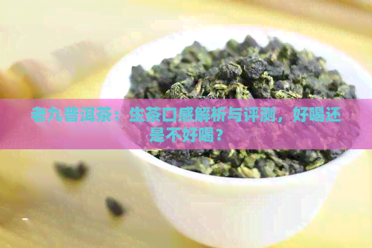 老九普洱茶：生茶口感解析与评测，好喝还是不好喝？