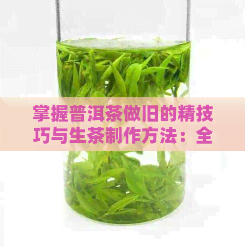 掌握普洱茶做旧的精技巧与生茶制作方法：全面指南