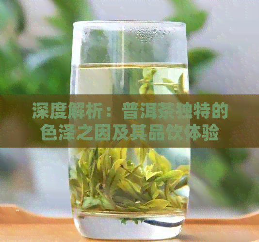 深度解析：普洱茶独特的色泽之因及其品饮体验