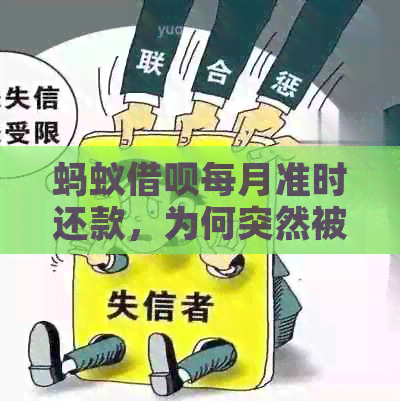 蚂蚁借呗每月准时还款，为何突然被关闭？原因揭秘！