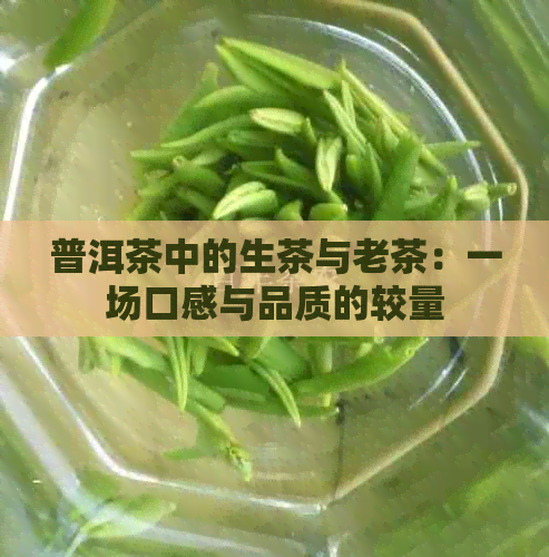 普洱茶中的生茶与老茶：一场口感与品质的较量