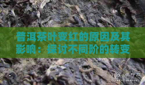 普洱茶叶变红的原因及其影响：探讨不同阶的转变过程及品饮体验