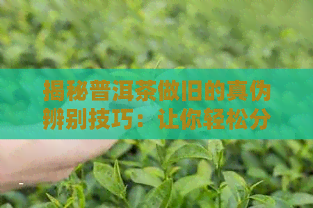 揭秘普洱茶做旧的真伪辨别技巧：让你轻松分辨真假