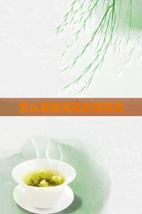 怎么看普洱茶发霉变质