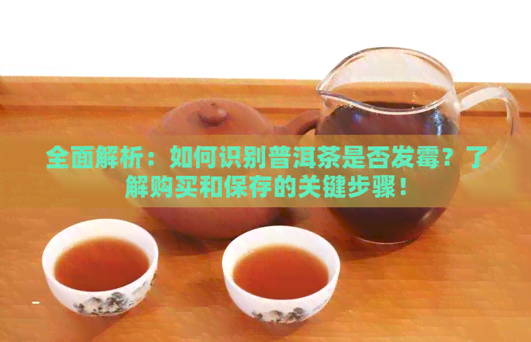 全面解析：如何识别普洱茶是否发霉？了解购买和保存的关键步骤！