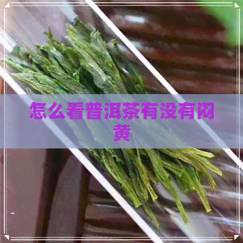 怎么看普洱茶有没有闷黄