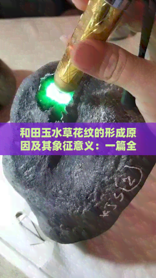 和田玉水草花纹的形成原因及其象征意义：一篇全面的解读