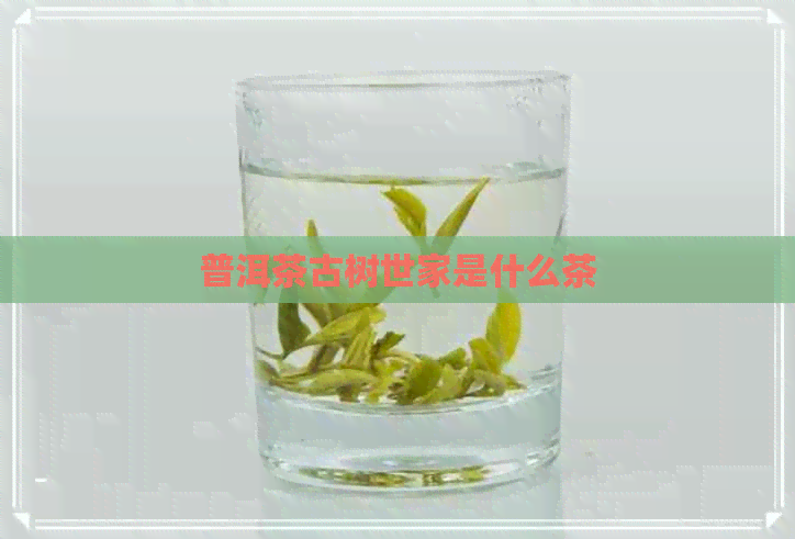 普洱茶古树世家是什么茶